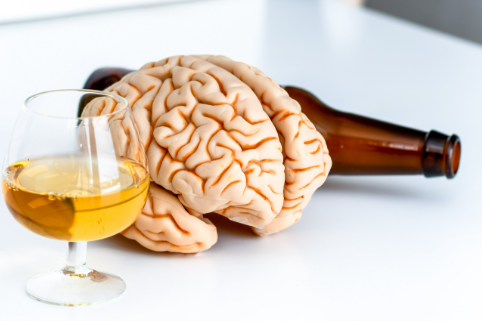 How Alcohol Affects the Brain: Understanding Addiction